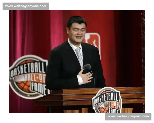 中国新星登陆 NBA:杨瀚森能否续写姚明传奇? 中国新星登陆 NBA:杨瀚森能否续写姚明传奇?