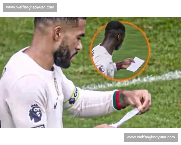 迪马特奥盛赞蓝军：马雷斯卡的智慧成就出色阵容