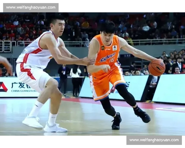 嘉兴破苍南十连胜金身 普陀首胜燃爆浙 BA