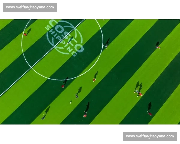 蓝白战火重燃：青超联赛巅峰对决燃爆高原绿茵场